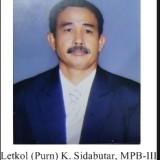 pudir3